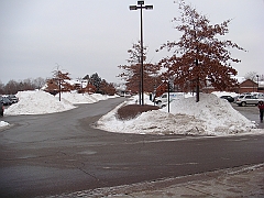 001 A2 Snowfall & Trees [2008 Dec 20]